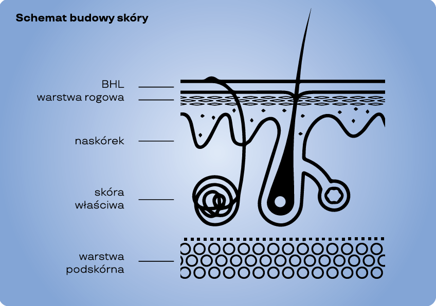  bariera-hydrolipidowa-skory