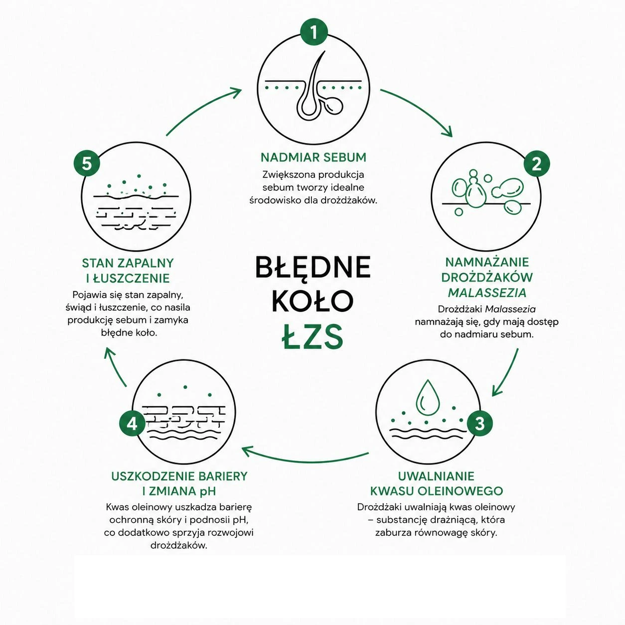 błędne koło ŁZS